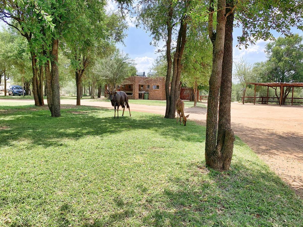 Tshikwalo Game Lodge Klipdrift Exterior foto